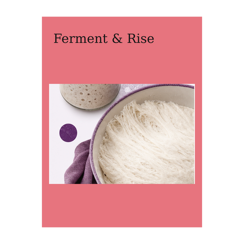 Ferment & Rise ebook cover